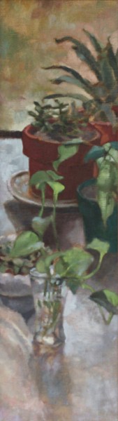thejadeplant